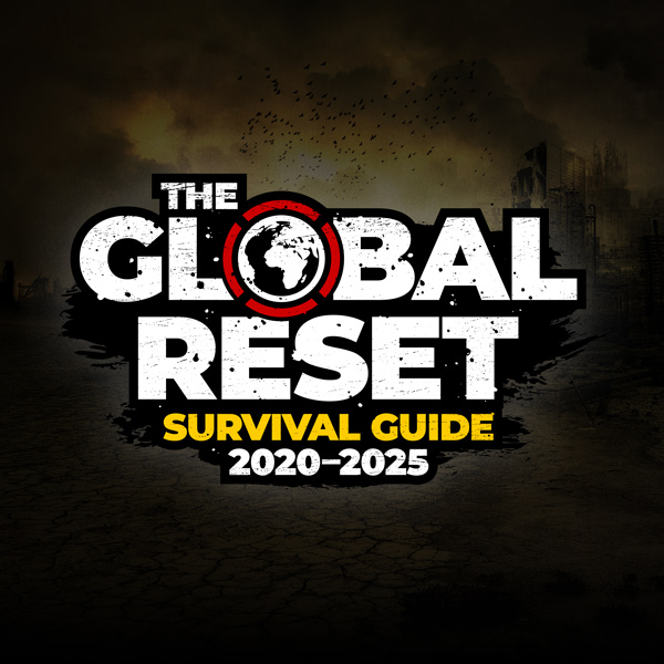 The Global Reset Survival Guide